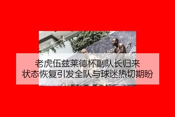 lao-hu-wu-zi-lai-de-bei-fu-dui-zhang-gui-lai-zhuang-tai-hui-fu-yin-fa-quan-dui-yu-qiu-mi-re-qie-qi-pan-3-377.jpg